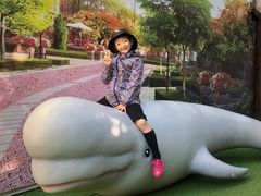 -贝壳王国博物馆