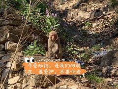 -北京上方山国家森林公园