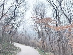 -南山风景名胜区