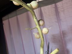 -锦上中式酒馆(南内环店)