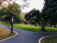 -四海公园(南山区)