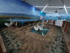 -延庆地质公园博物馆