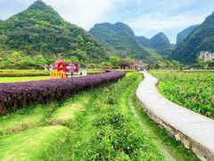 -靖西鹅泉风景区