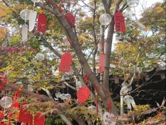 -祥源·阜阳生态乐园