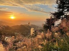 -紫鹊界梯田景区