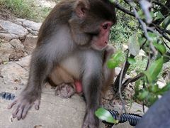 -重庆云阳龙缸景区