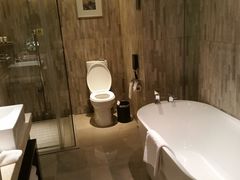 -常州环球恐龙城维景国际大酒店