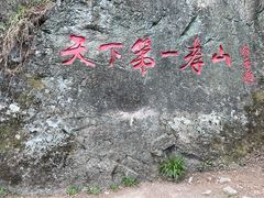 -王顺山国家森林公园