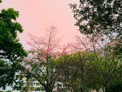 -华南理工大学(大学城校区)