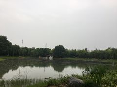 -堤角公园