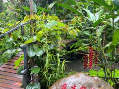 -中国科学院西双版纳热带植物园