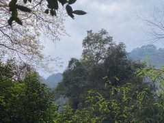 -青城山