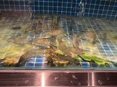 -绍兴中金豪庭大酒店·豪庭阁中餐厅