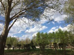 -长春公园(普阳街道)