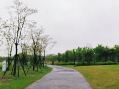 -春花秋色城市公园