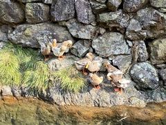 -布袋山风景区