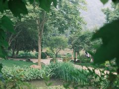 -中国茶叶博物馆(双峰馆区)
