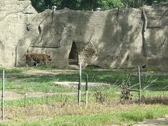 -秦皇岛野生动物园