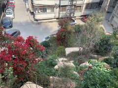 -乌山风景区