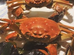 -星伦多自助料理·涮烤一体(嘉兴八佰伴店)