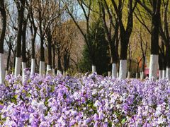 -永定河休闲森林公园
