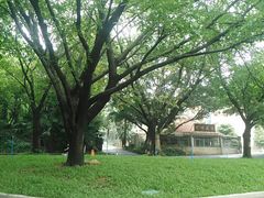 -南国桃园旅游度假区