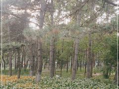 -长春市南湖公园