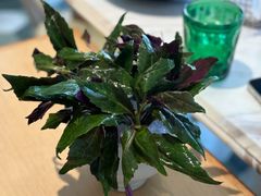 -椰子不语 椰子鸡火锅(淮海店)