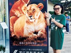 -罗红摄影艺术馆