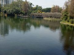 -晓港公园