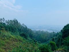 -火炉山森林公园