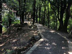 -天鹿湖森林公园