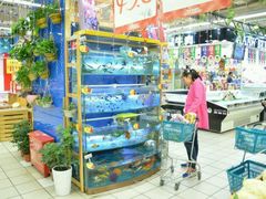 -新玛特购物广场(齐齐哈尔店)