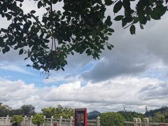 -深圳仙湖植物园