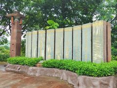 -风云岭森林公园