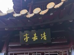 -嘉定紫藤园