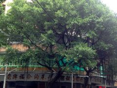 参天古树下吃甜汤-老福合沟无米粿甜汤粿品店