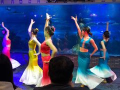 -成都浩海立方海洋公园