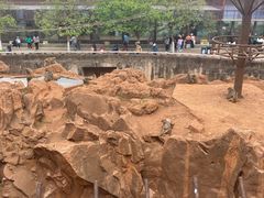 -昆明动物园
