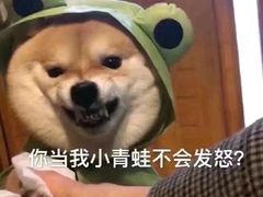 -山间农家
