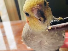 -三品王(万象城店)