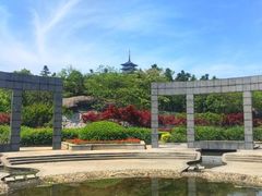 -宜兴龙背山森林公园