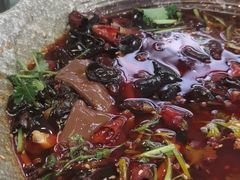 精品毛血旺-成都驻京办餐厅(蜀都宾馆店)