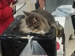 -清真西北风味餐厅