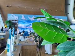 -抱抱地球咖啡馆(国家海洋博物馆店)