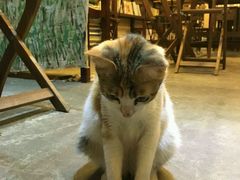-看书吧(体育东横路店)