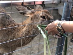 -迪茵湖田家舍生态农场