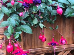 -生态苑农庄(十里画廊遇龙河店)