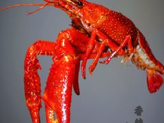 -茸梅路右拐龙虾-农家菜(松江店)