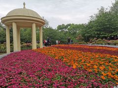 -南山植物园